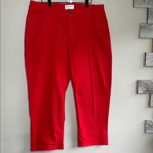 Lane Bryant Boyfriend Capri Mid rise Size 16